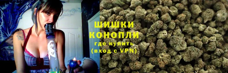 где можно купить наркотик  Пущино  Конопля SATIVA & INDICA 